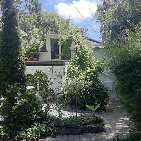 Carbis Bay Cozy Carbence Cottage المظهر الخارجي الصورة